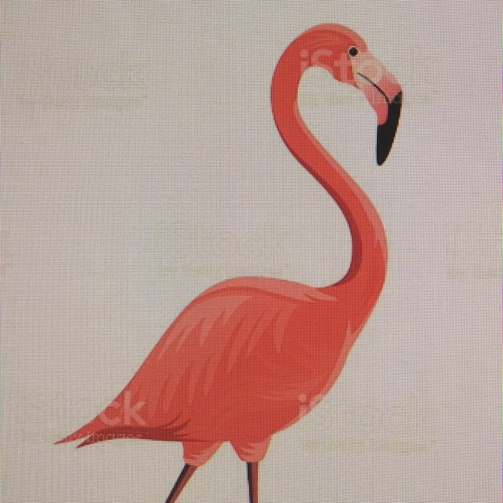 Meet your Posher, Tim